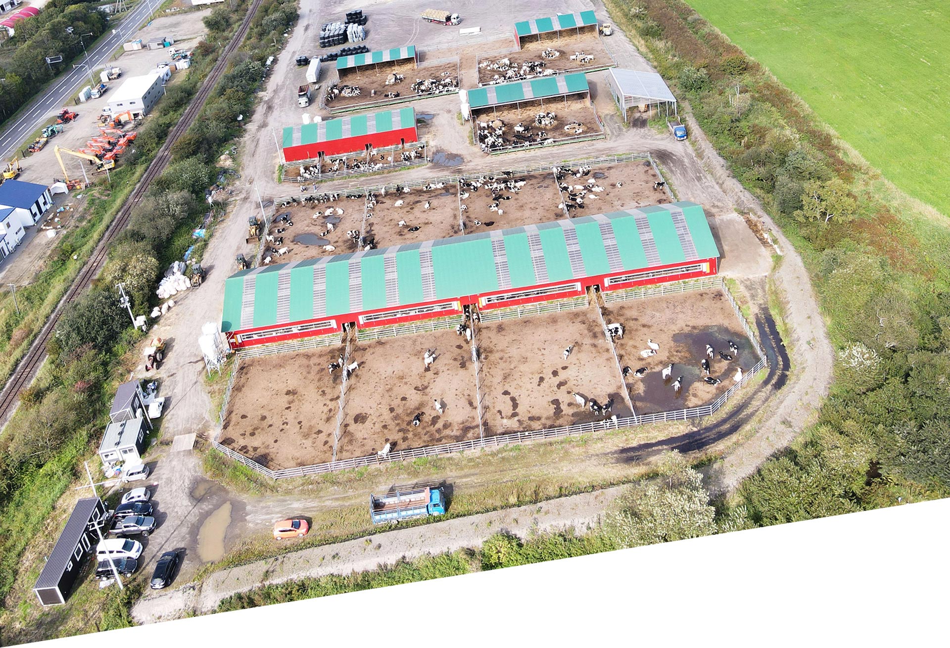 株式会社NS牧場について